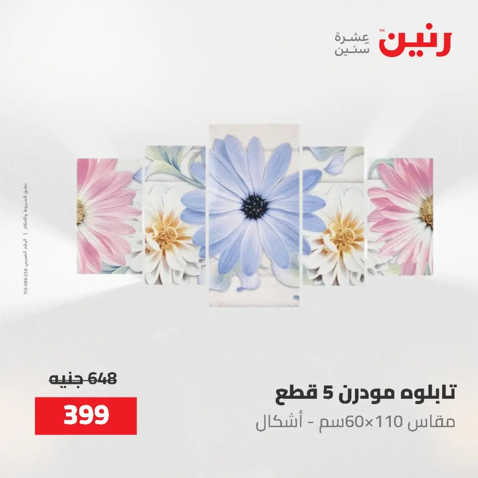عروض رنين من ٢ حتى ٣ يونيو ٢٠٢٦ عروض هدايا وديكورات - صفحة 14