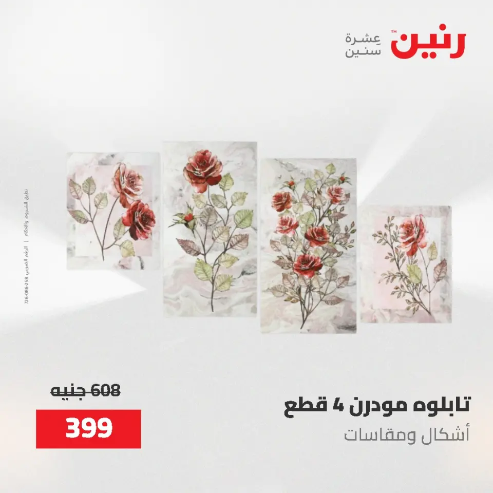 عروض رنين من ٢ حتى ٣ يونيو ٢٠٢٦ عروض هدايا وديكورات - صفحة 13