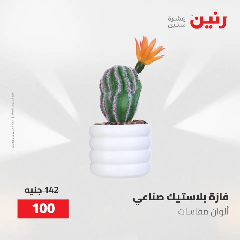 عروض رنين من ٢ حتى ٣ يونيو ٢٠٢٦ عروض هدايا وديكورات - صفحة 58