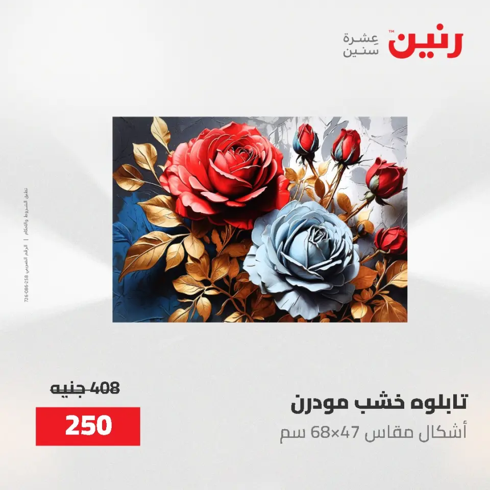 عروض رنين من ٢ حتى ٣ يونيو ٢٠٢٦ عروض هدايا وديكورات - صفحة 10