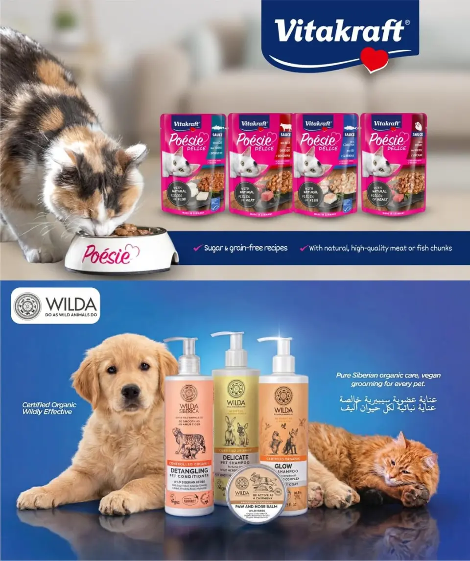 Ofertas de City hiper Katar de 3 a 9 junio 2026 Ofertas de Aniversario - City hiper - Katar - 3 junio 2026 – 9 junio 2026 - Página 32