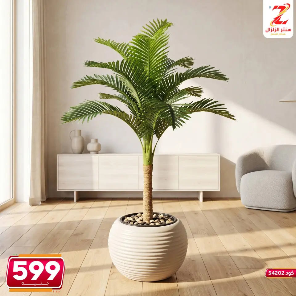 Center El Zelzal Egypt offers from 5 to 11 June 2026 Decorative pieces offers - Page 32