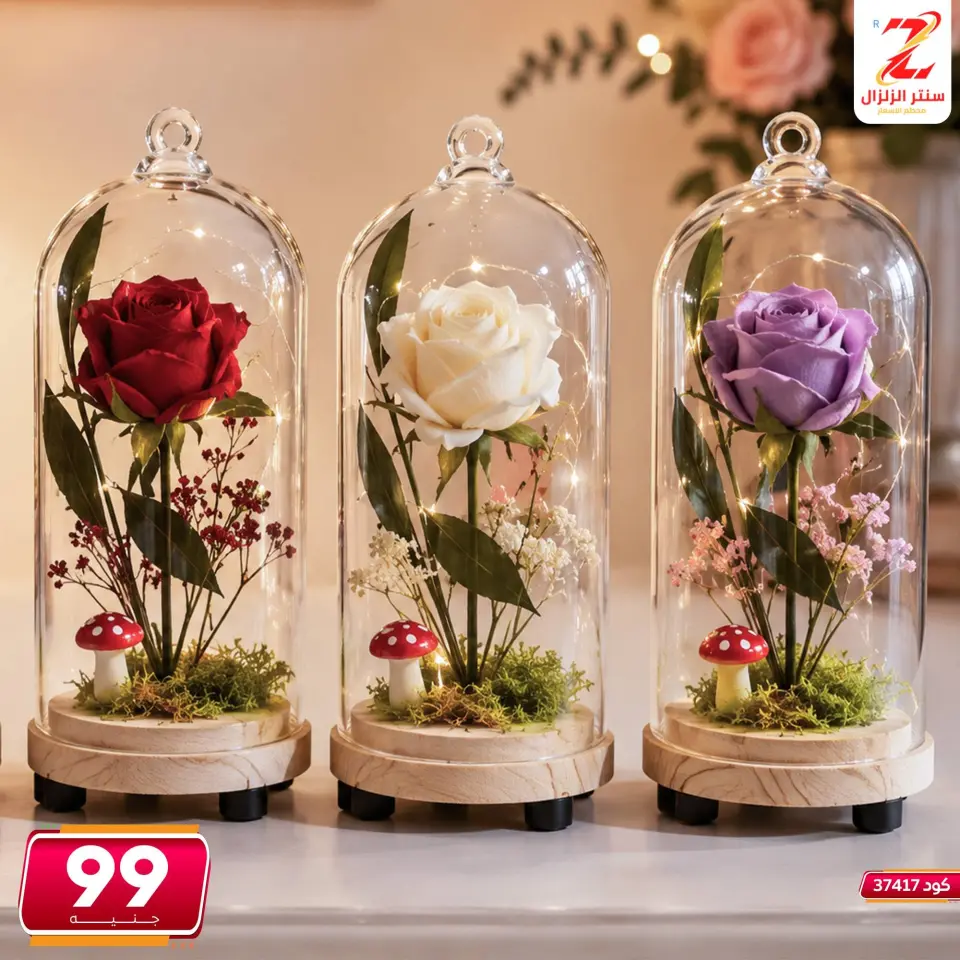 Center El Zelzal Egypt offers from 5 to 11 June 2026 Decorative pieces offers - Page 19