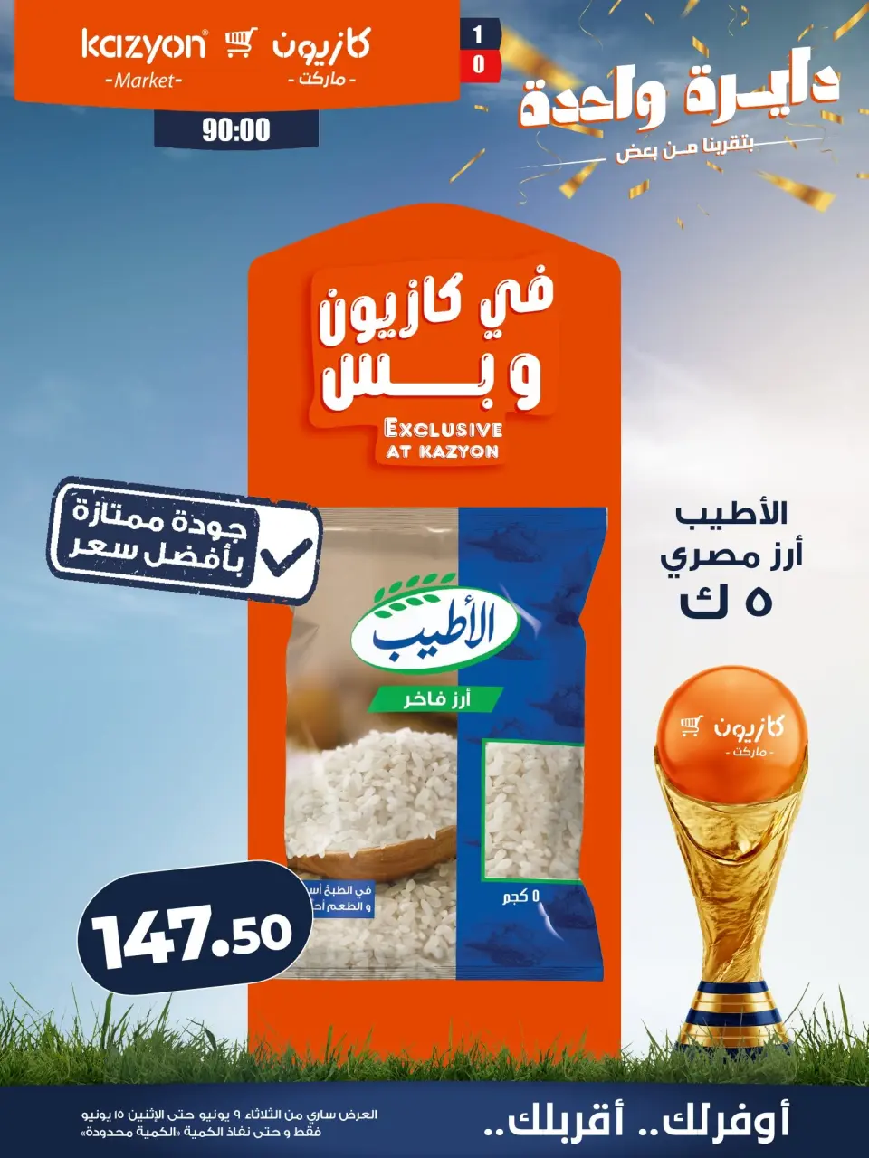 Kazyon Market Egypt offers from 9 to 15 June 2026 Tuesday offer - Page 9
