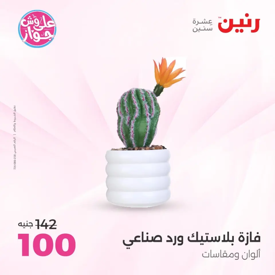 Ofertas de Raneen de 11 a 13 junio 2026 Ofertas de Regalos y Decoraciones - Página 62