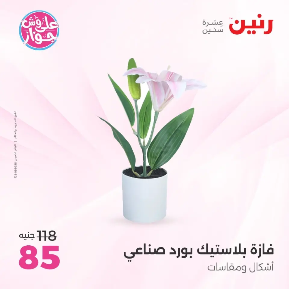 Ofertas de Raneen de 11 a 13 junio 2026 Ofertas de Regalos y Decoraciones - Página 61