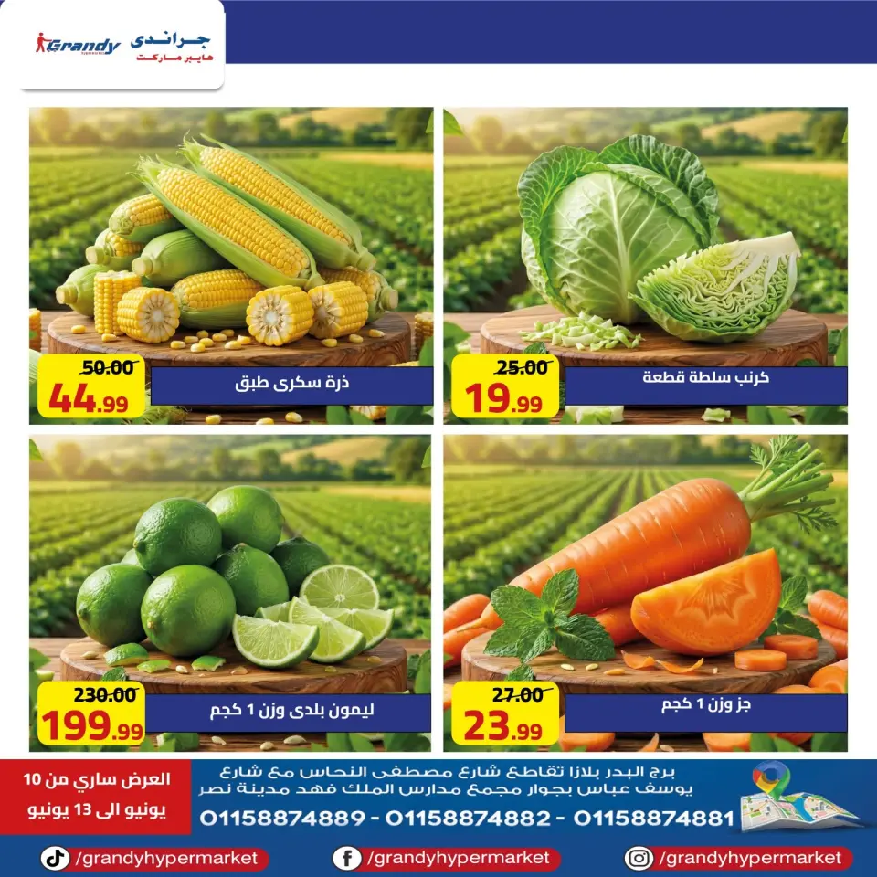 Grandy Egypt offers from 10 to 13 June 2026 Weekend Deals - Page 8