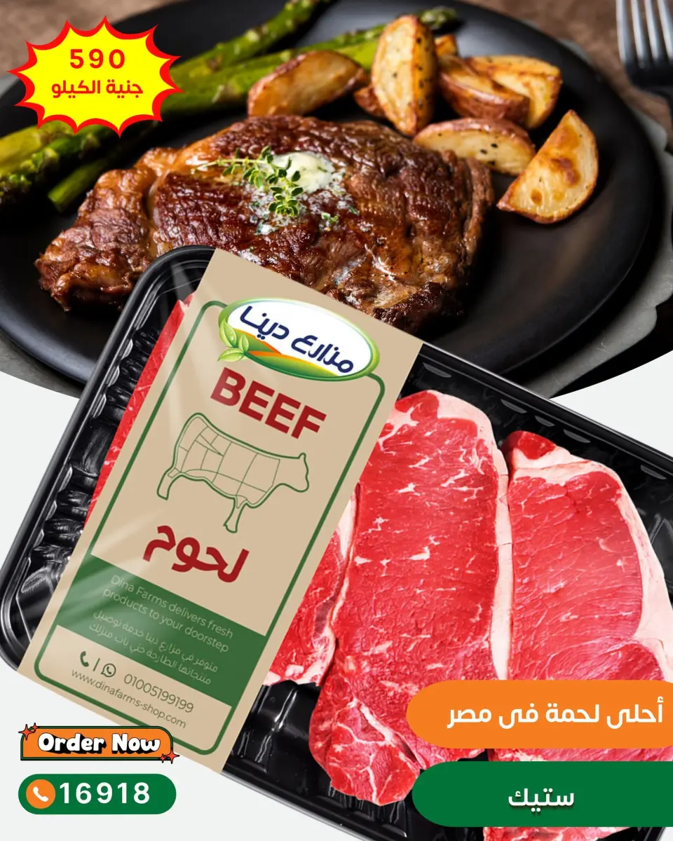 Dina Farms offers from 13 to 19 June 2026 Meat Offers - Page 13