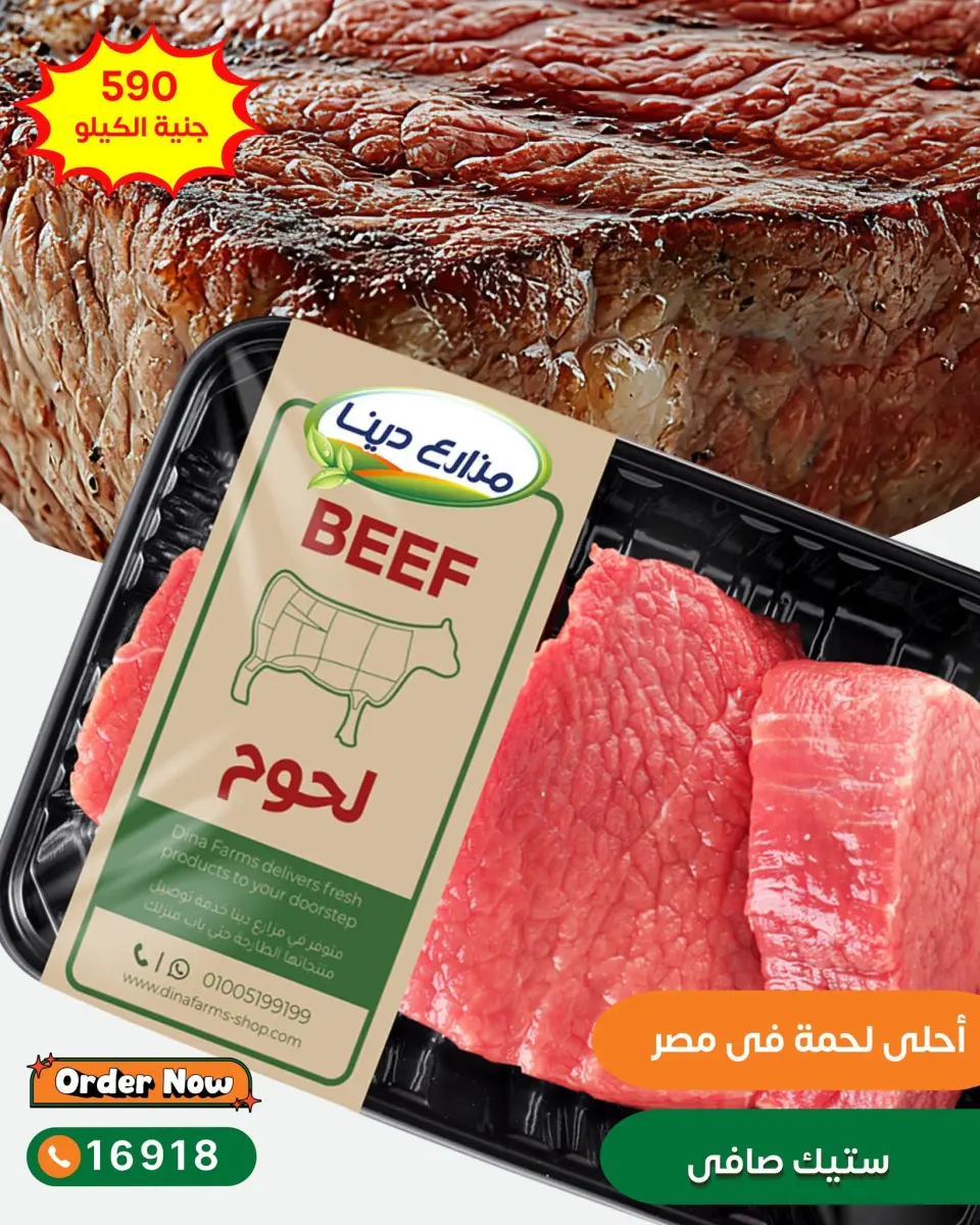 Dina Farms offers from 13 to 19 June 2026 Meat Offers - Page 12