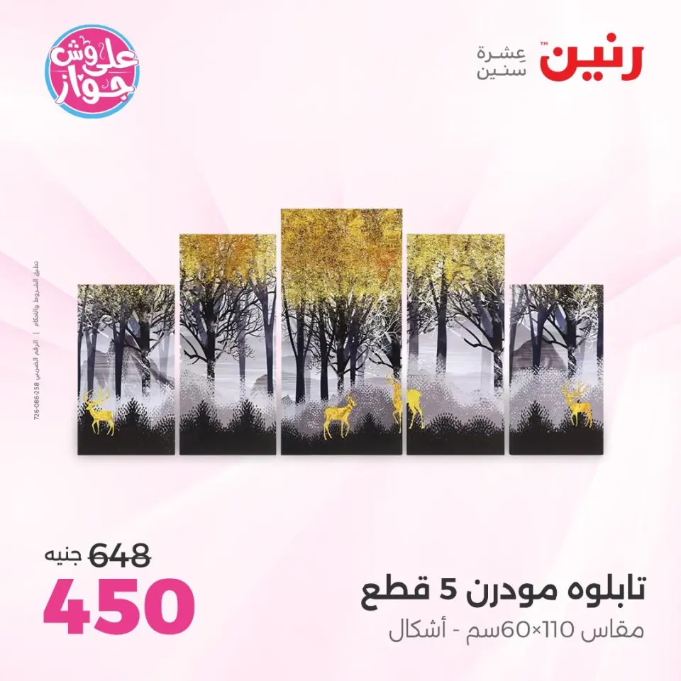 Raneen offers from 14 to 15 June 2026 Gifts and Decorations Offers - Page 8
