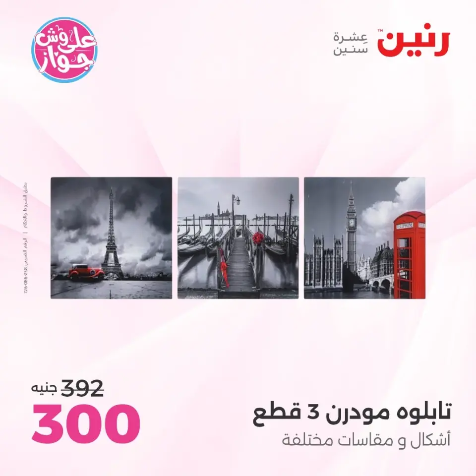Raneen offers from 14 to 15 June 2026 Gifts and Decorations Offers - Page 9