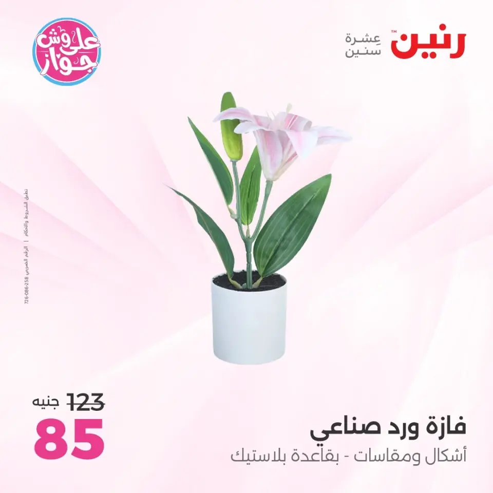 Raneen offers from 14 to 15 June 2026 Gifts and Decorations Offers - Page 56