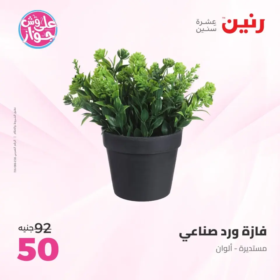 Raneen offers from 14 to 15 June 2026 Gifts and Decorations Offers - Page 54