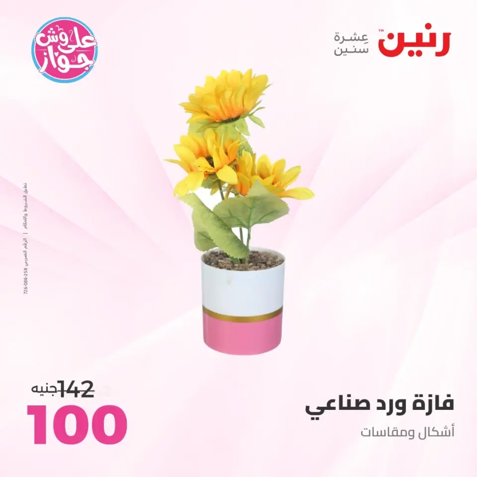 Raneen offers from 14 to 15 June 2026 Gifts and Decorations Offers - Page 52