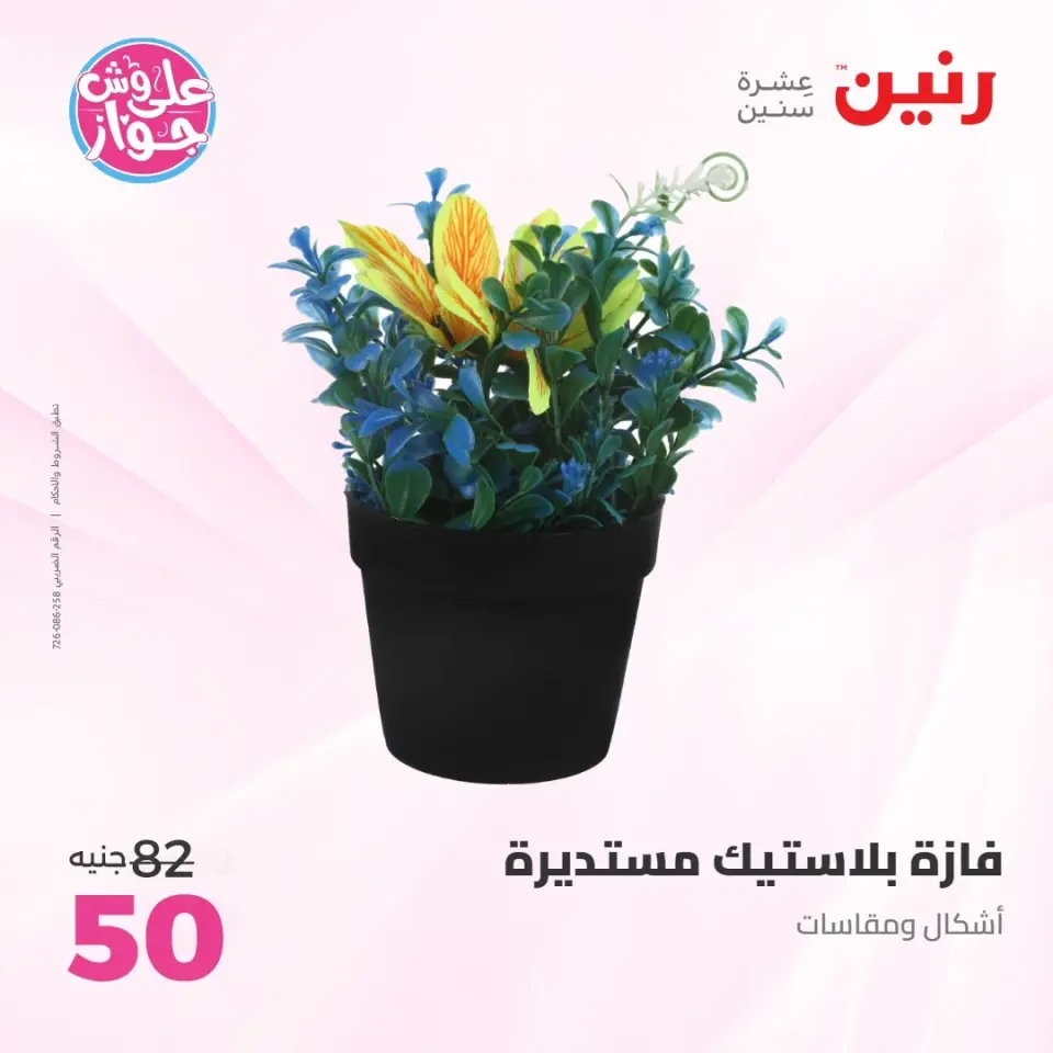 Raneen offers from 14 to 15 June 2026 Gifts and Decorations Offers - Page 55