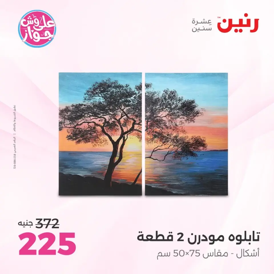 Raneen offers from 14 to 15 June 2026 Gifts and Decorations Offers - Page 10
