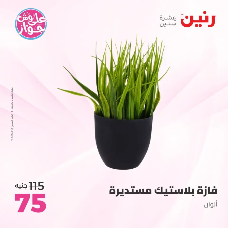 Raneen offers from 14 to 15 June 2026 Gifts and Decorations Offers - Page 53