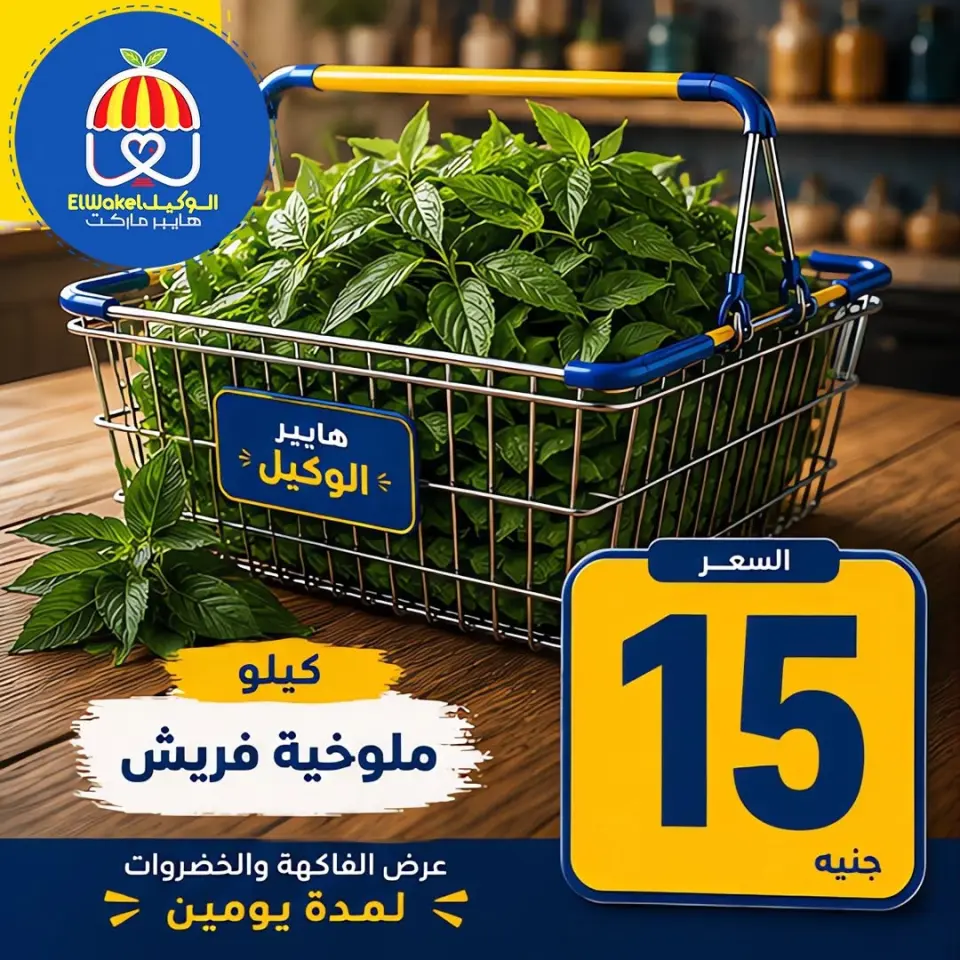 Hyper El Wakel Egypt offers from 15 to 16 June 2026 Vegetable and fruit offers - Page 9