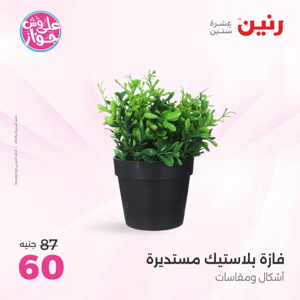 Raneen offers from 16 to 17 June 2026 Gifts and Decorations Offers - Page 59