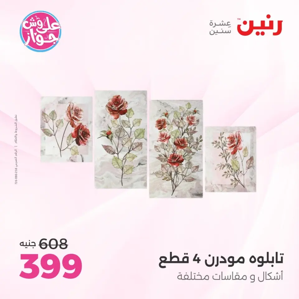 Raneen offers from 16 to 17 June 2026 Gifts and Decorations Offers - Page 9