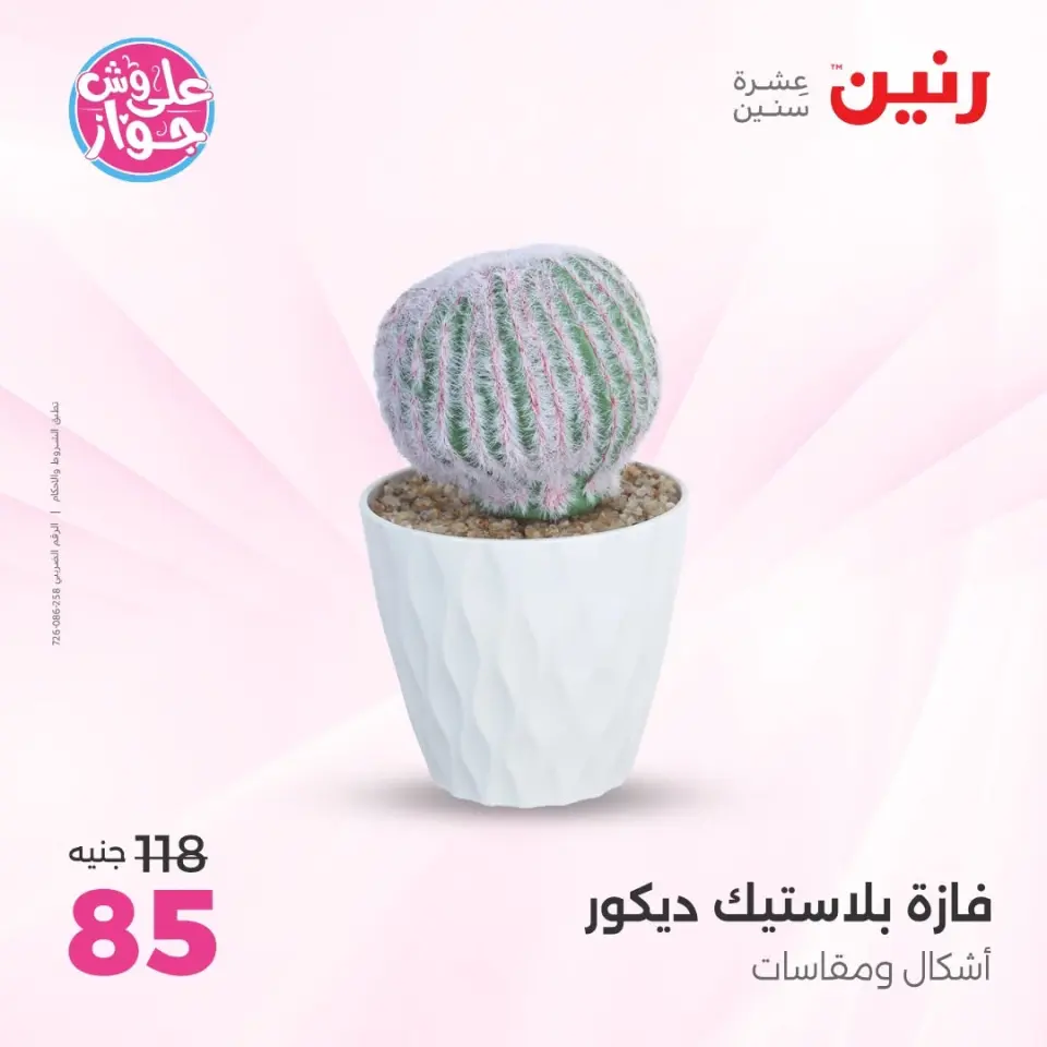 Raneen offers from 16 to 17 June 2026 Gifts and Decorations Offers - Page 61