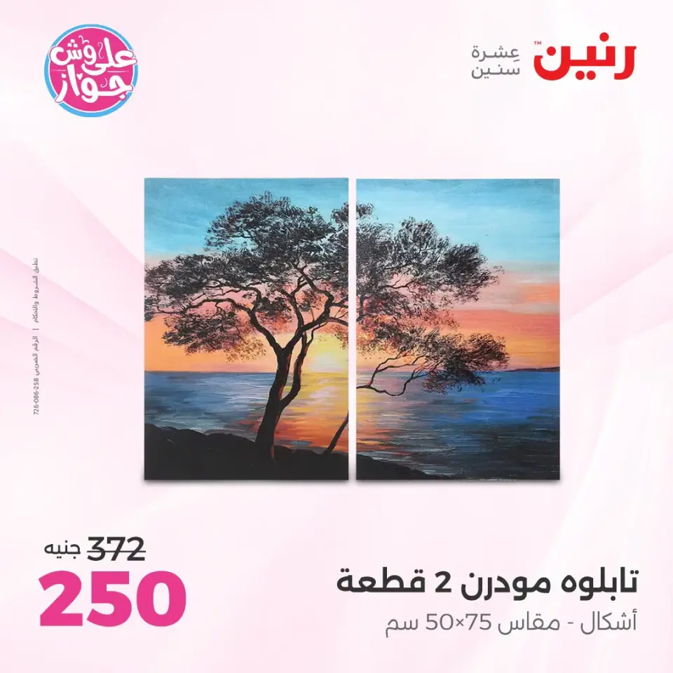 Raneen offers from 18 to 20 June 2026 Gifts and Decorations Offers - Page 12