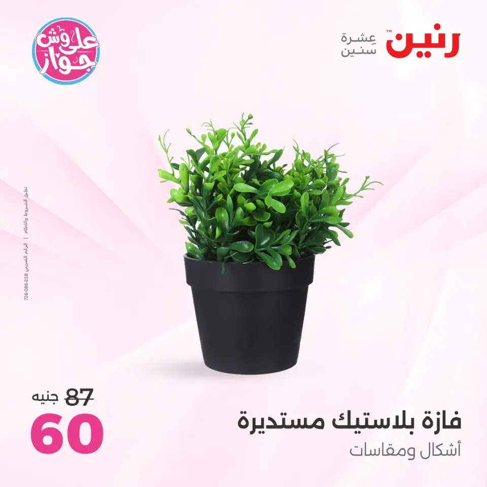 Raneen offers from 18 to 20 June 2026 Gifts and Decorations Offers - Page 51