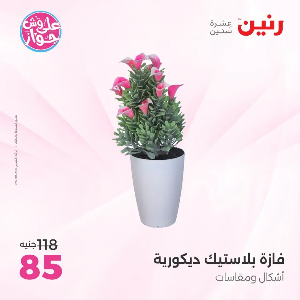 Raneen offers from 18 to 20 June 2026 Gifts and Decorations Offers - Page 59
