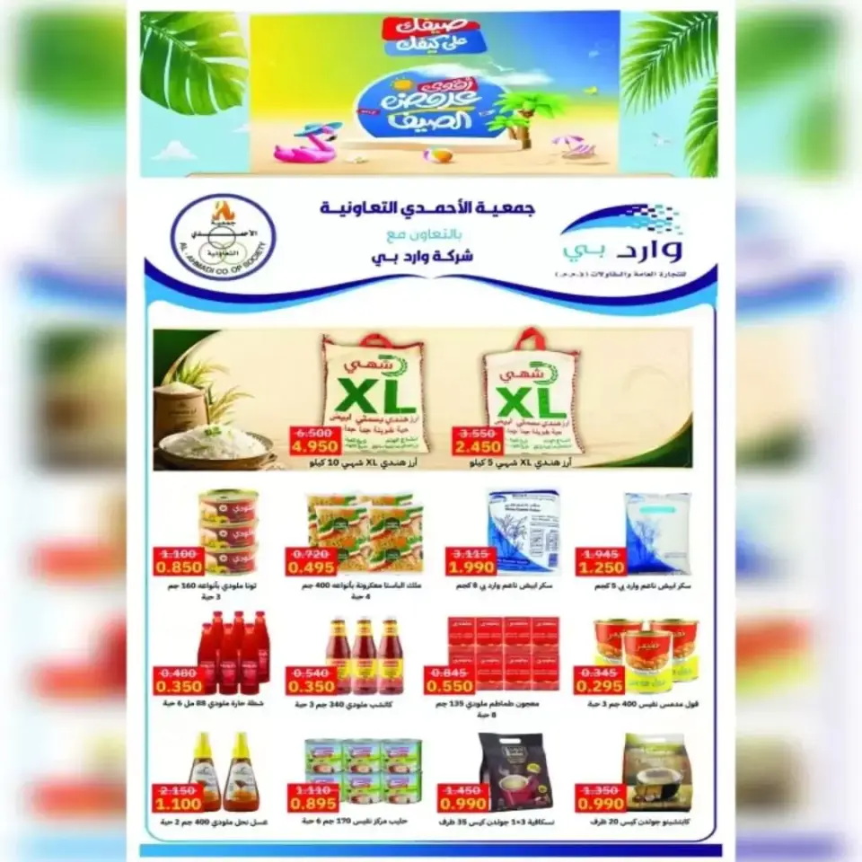 Ahmadi coop offers from 20 to 25 June 2026 Summer Sale - Page 17