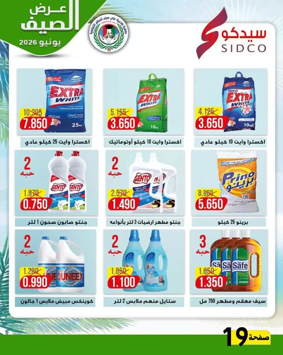 Ali Salem coop Kuwait offers from 23 to 30 June 2026 Summer Offers - Page 17