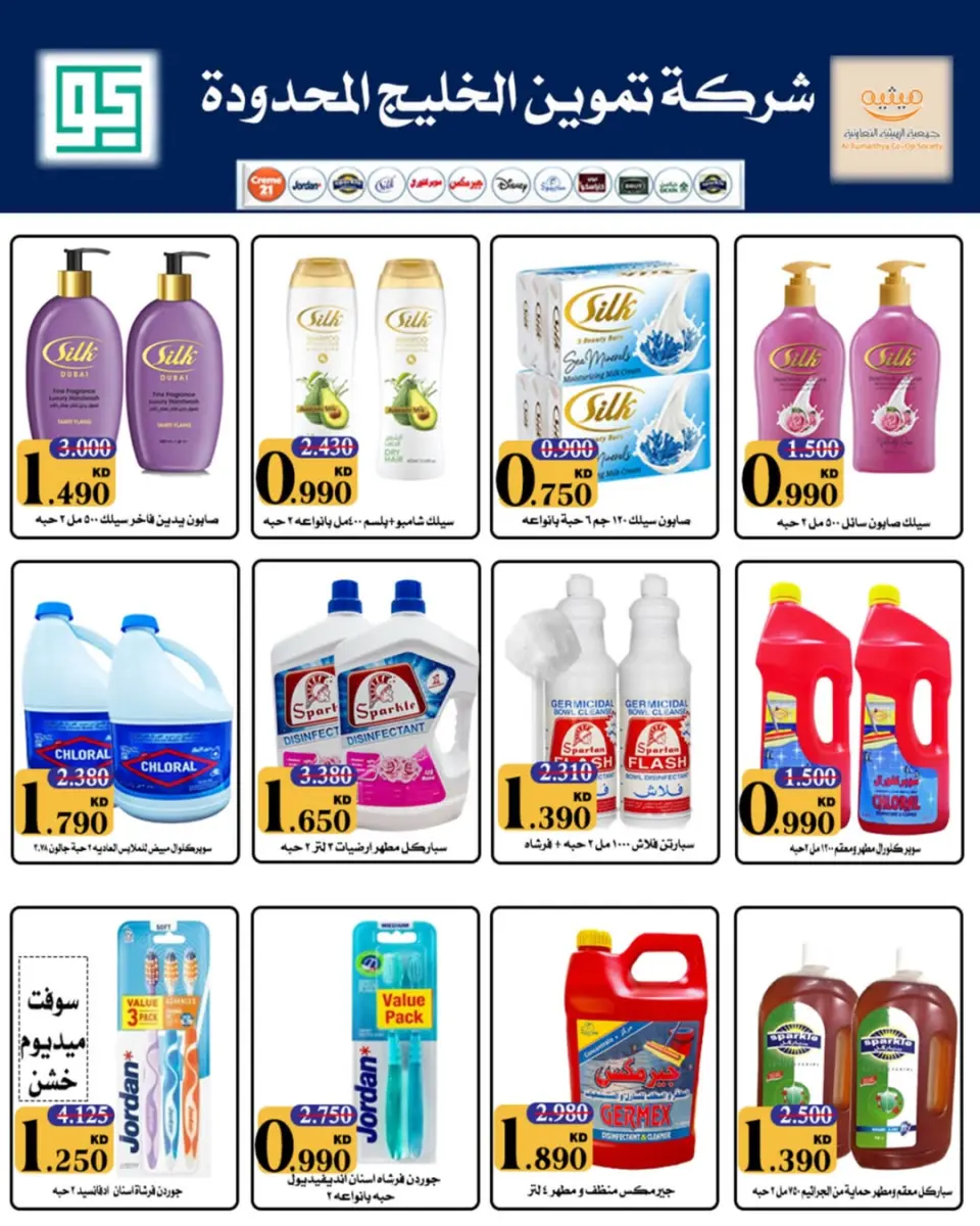 AL Rumaithya co-op offers from 27 to 30 June 2026 Amazing Prices - Page 49