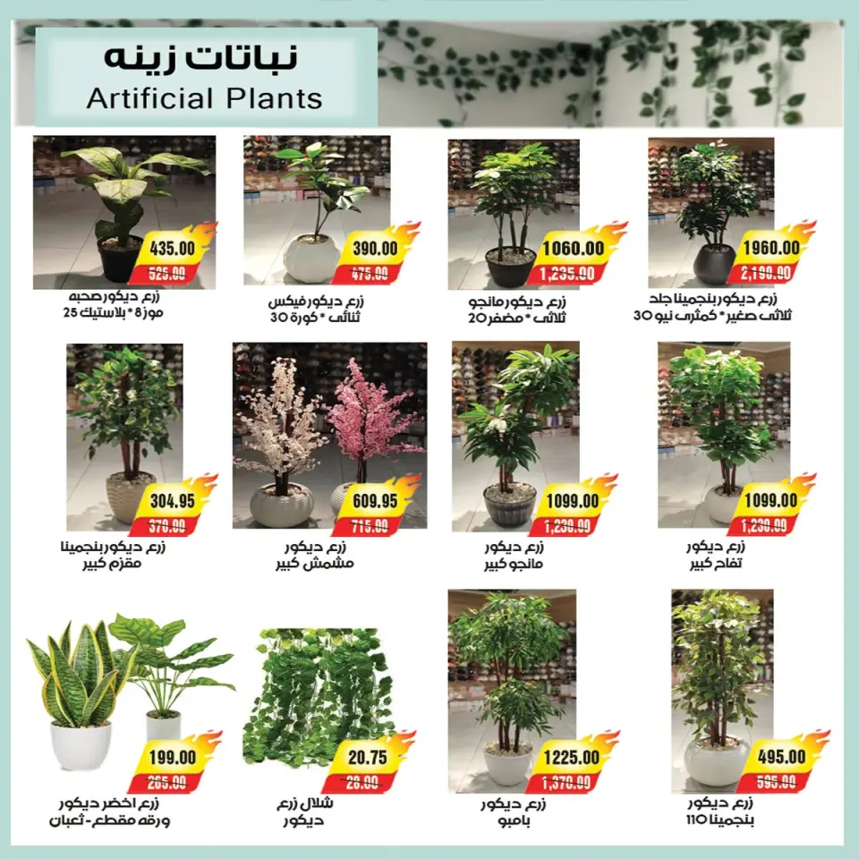 عروض ايه ماركت مصر من ٢٦ يونيو حتى ٣ يوليو ٢٠٢٦ عروض الصيف - صفحة 8