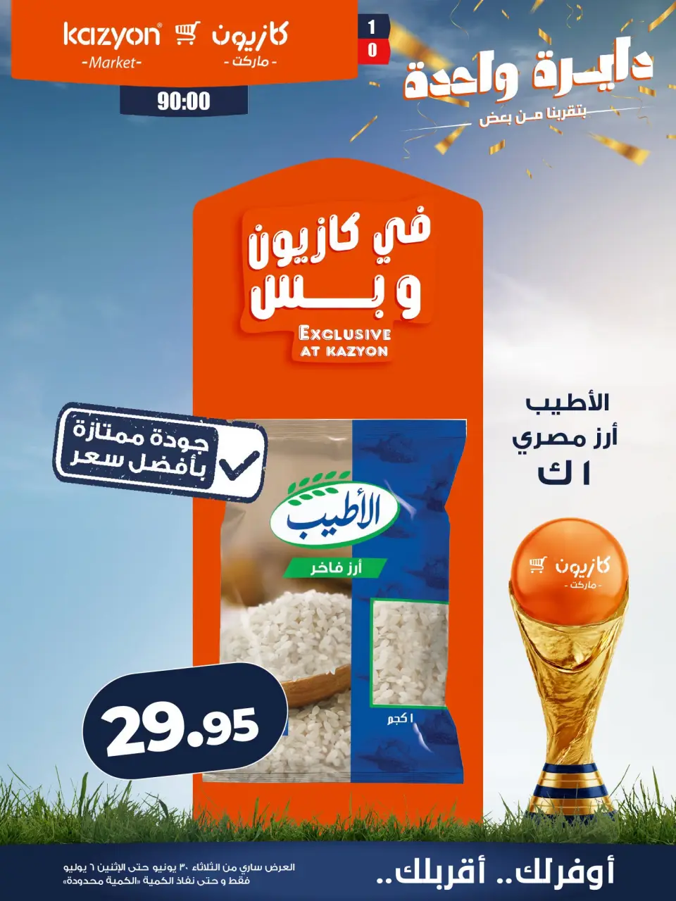 Kazyon Market Egypt offers from 30 June to 6 July 2026 Tuesday offer - Page 9
