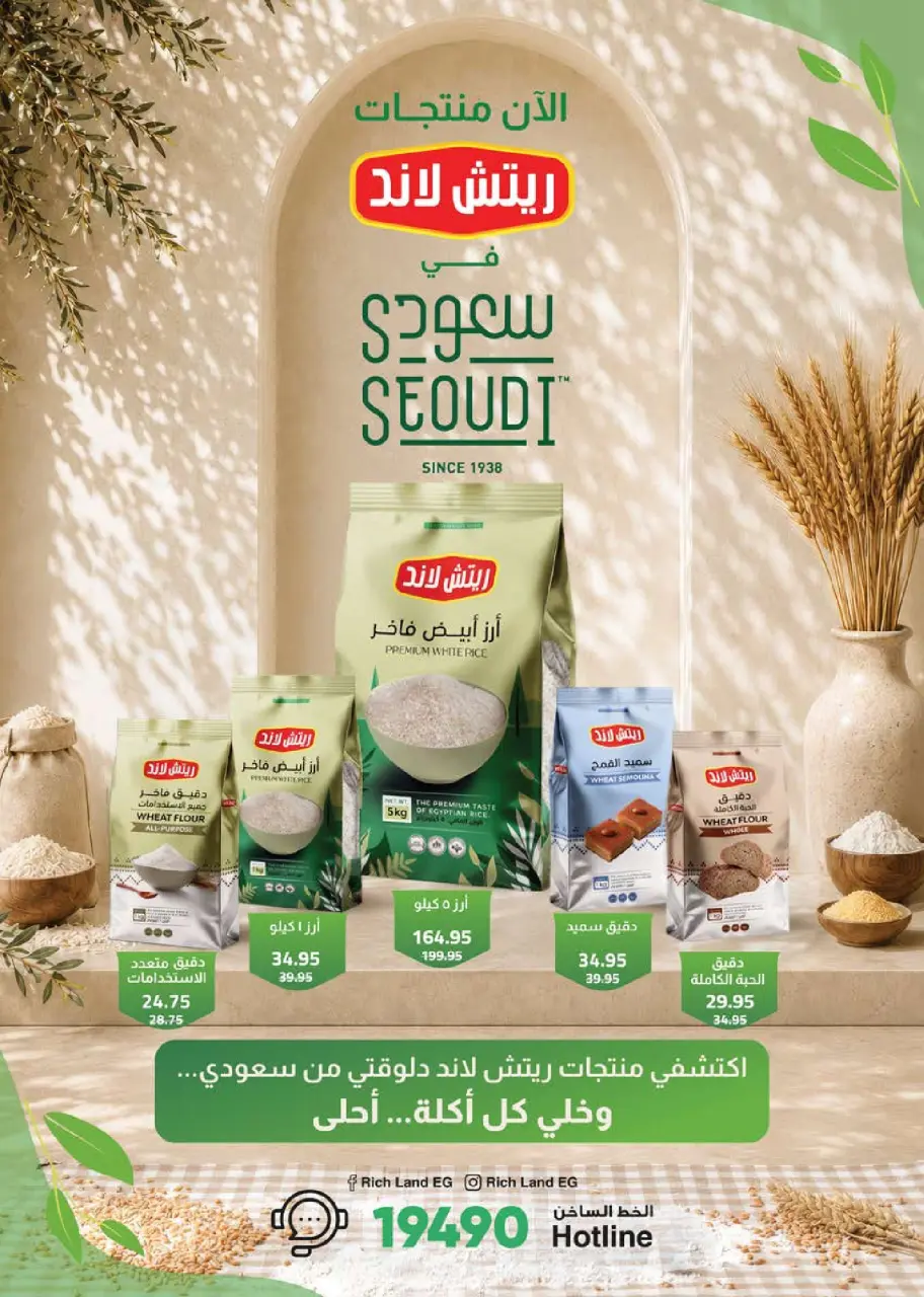 Seoudi Market offers from 9 to 19 July 2026 Summer Deals - Page 22