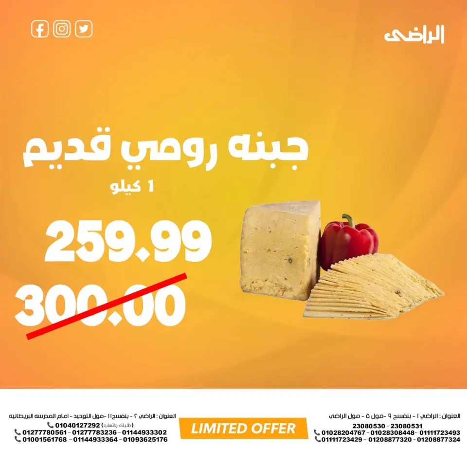 Al Radi Market Egypt offers Friday 17 July 2026 One day offer - Page 8