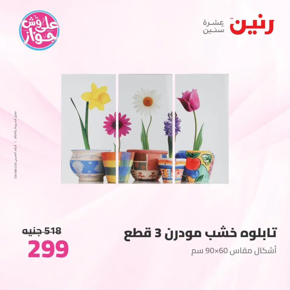 عروض رنين من ١٩ حتى ٢٠ يوليو ٢٠٢٦ عروض هدايا وديكورات - صفحة 14