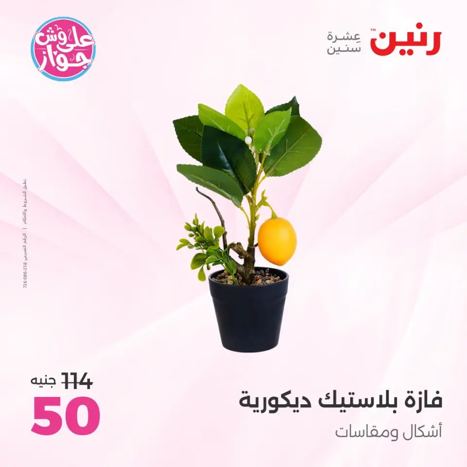 عروض رنين من ١٩ حتى ٢٠ يوليو ٢٠٢٦ عروض هدايا وديكورات - صفحة 56