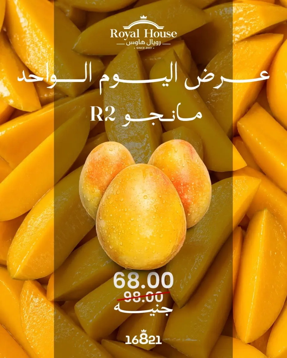 عروض رويال هاوس مصر الثلاثاء ٤ أغسطس ٢٠٢٦ عرض اليوم الواحد - رويال هاوس - مصر - 4 اغسطس 2026 – 4 اغسطس 2026 - صفحة 1
