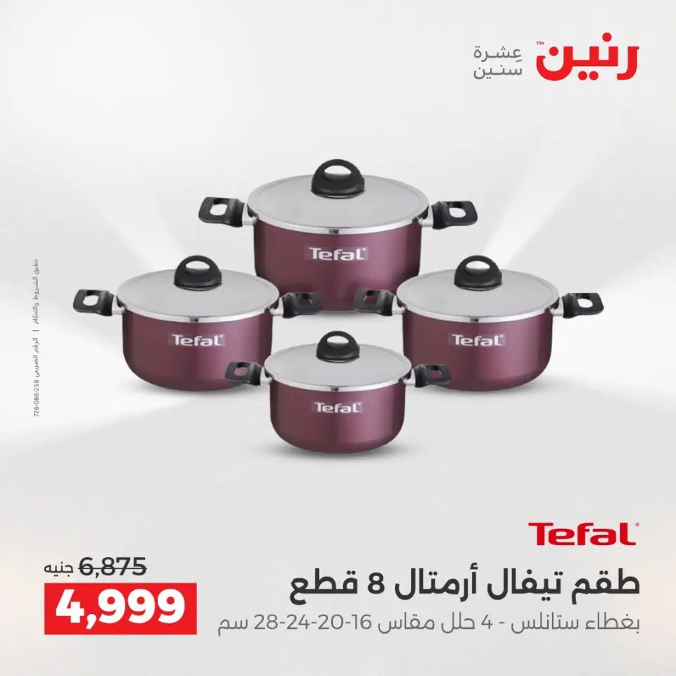 عروض رنين من ١٣ حتى ١٥ أغسطس ٢٠٢٦ خصومات مميزة - صفحة 11