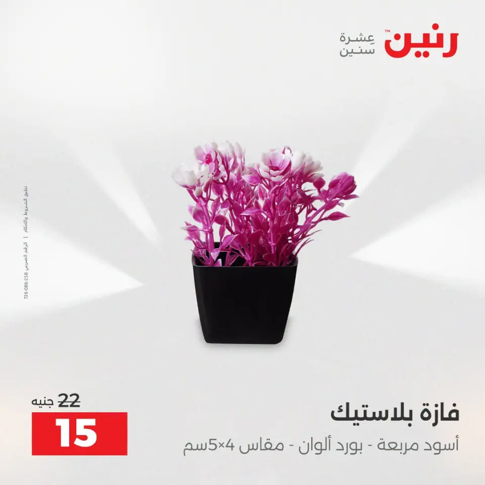 عروض رنين من ١٣ حتى ١٥ أغسطس ٢٠٢٦ عروض هدايا وديكورات - صفحة 52