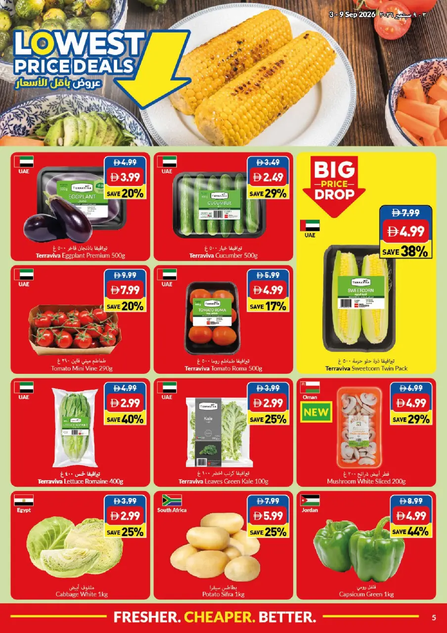 Viva supermarket UAE offers from 3 to 9 September 2026 Lowest Prices - Page 5
