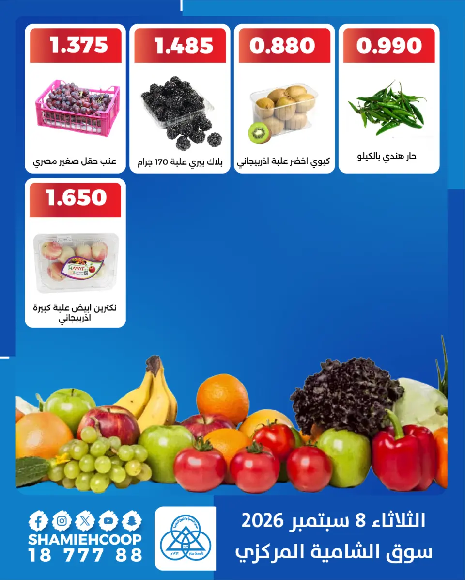 Offres Coop Shamieh seulement mardi 8 septembre 2026 Offres de fruits et légumes - Page 4