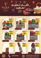 Page 41 in Spring offers at El mhallawy Sons Egypt