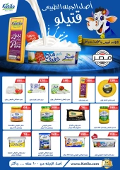 Page 31 in August Offers at El Mahlawy Stores Egypt