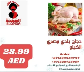 Page 3 in Egyptian products at Elomda UAE