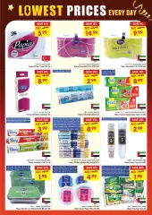 Page 22 in Lower prices at Gala UAE