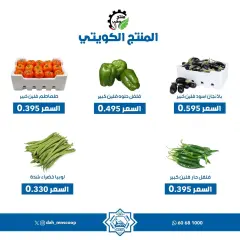 Page 2 in Vegetable and fruit offers at Dah & Mns co-op Kuwait