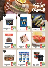 Page 2 in Spring offers at Seoudi Market Egypt