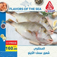 Page 11 in Fish Deals at El Mahlawy market Egypt