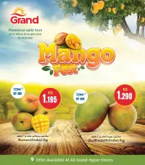 Page 7 in Mango Festival Offers at Grand Hyper Kuwait